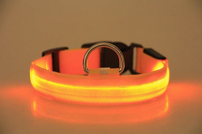 Dog Collar Nylon LED Night Safety Flashing Glow In The Dark