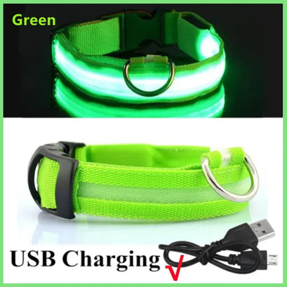 Dog Collar Nylon LED Night Safety Flashing Glow In The Dark