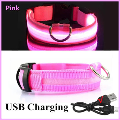 Dog Collar Nylon LED Night Safety Flashing Glow In The Dark