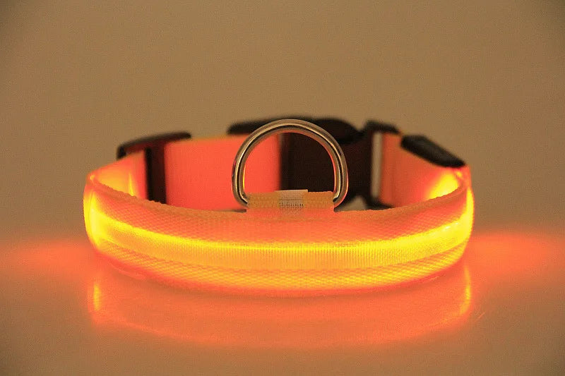 Dog Collar Nylon LED Night Safety Flashing Glow In The Dark