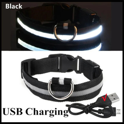 Dog Collar Nylon LED Night Safety Flashing Glow In The Dark